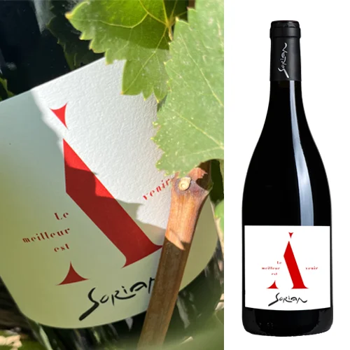 Le Meilleur est à Venir 2016 - Vins Rouges Harmonieux pour Chaque Occasion TOP 5 des meilleurs vins blancs secs - 1envie1vin.com | Blog