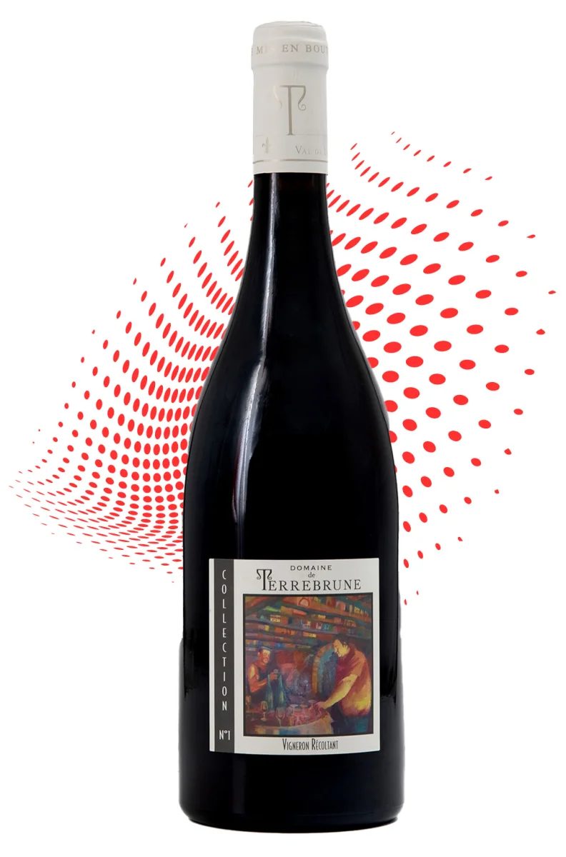 Domaine de Terrebrune, Collection N°I - Vins Rouges Harmonieux pour Chaque Occasion Richebourg 2022 - Domaine A-F Gros - Côte de Nuits - Vin Rouge - Grands  Bourgognes