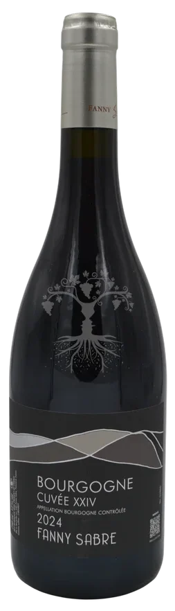 Bourgogne rouge - RARE Vins Rouges Harmonieux pour Chaque Occasion