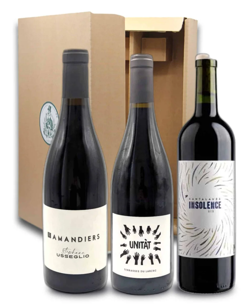 coffret grands vins de gastronomie - rouge 3 bouteilles - Vins Rouges Harmonieux pour Chaque Occasion - grande epicerie coffret vin gastronomie rouge bouteille occasion