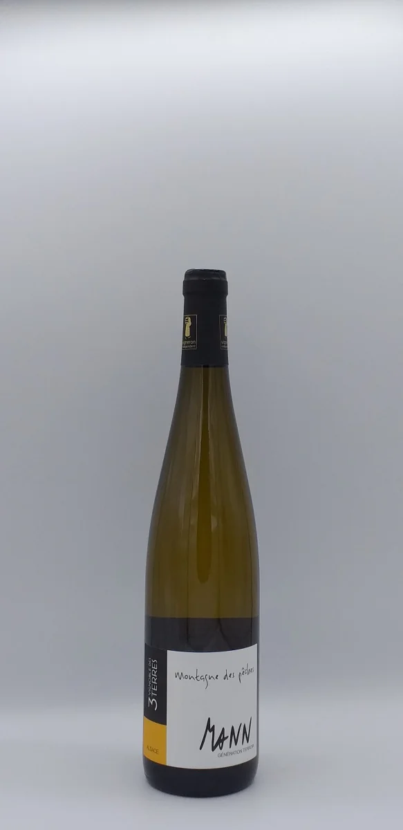 Alsace Montagne Des Pêches 2019 Domaine Mann - ml Vins Rouges Harmonieux pour Chaque Occasion