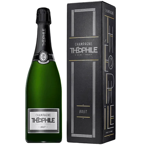 Théophile Brut ETUI - Vins Rouges Harmonieux pour Chaque Occasion - beaujolais vin occasion