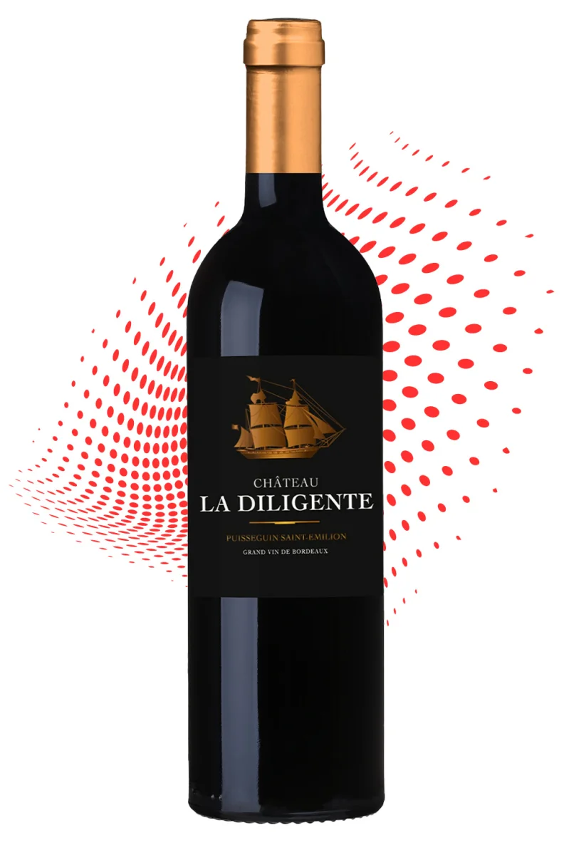 Château La Diligente - Vins Rouges Harmonieux pour Chaque Occasion - musée historique château occasion