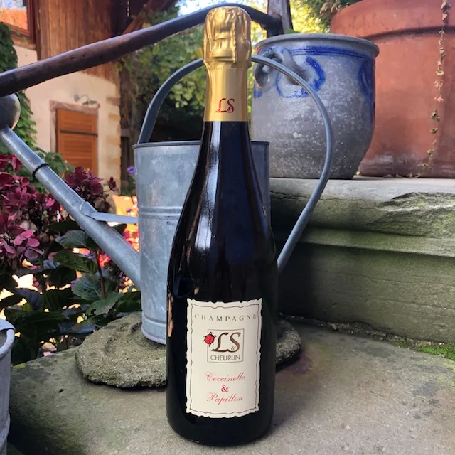 Magnum Champagne Coccinelle 038 Vins Rouges Harmonieux Occasion