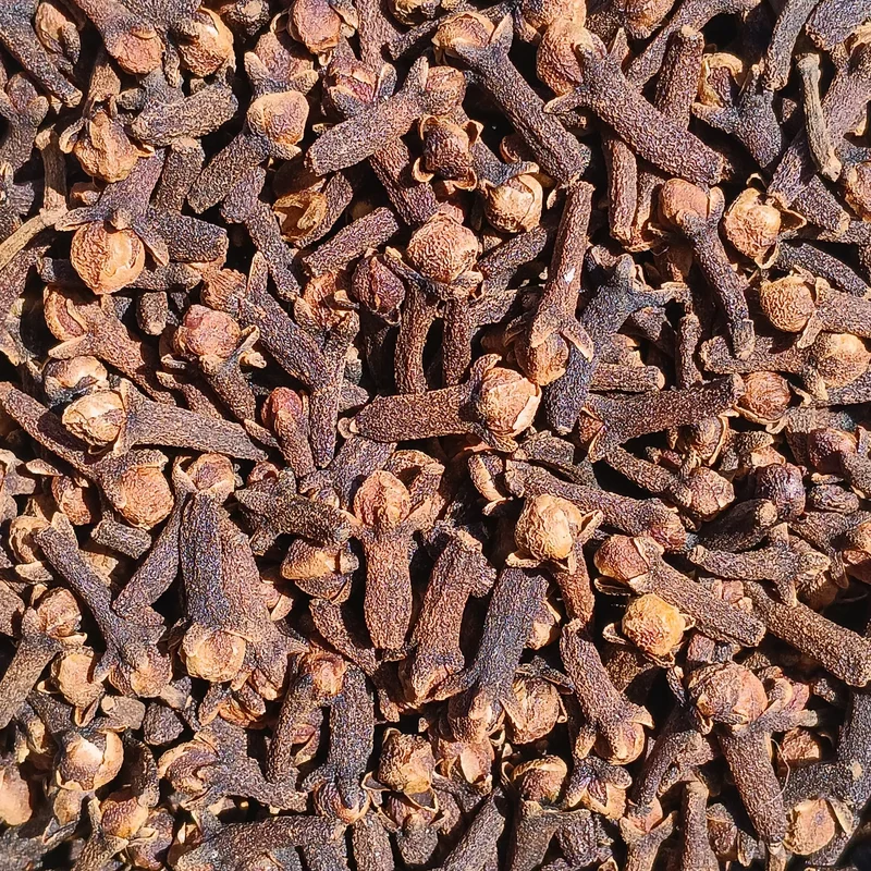 Nelken Syzygium Aromaticum Biologisch Saldi Straordinari Offerte Speciali Disponibili Adesso
