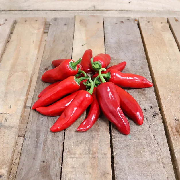 Piment rouge Gorria (Espelette) - Vins Rouges Harmonieux pour Chaque Occasion