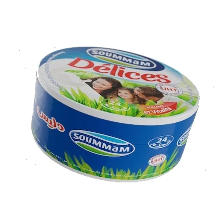 Fromage fondu Soummam Délices – boîte de 24 portions (environ 330 g)- eChrily - Vins Rouges Harmonieux pour Chaque Occasion