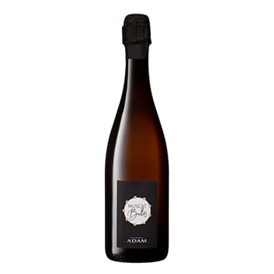 Muscat Bulles JB Adam 6×75 cl - Vins Rouges Harmonieux pour Chaque Occasion - Biocoop