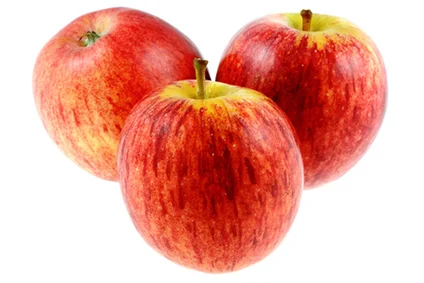 Pomme Reinette pièces Vins Rouges Harmonieux Occasion