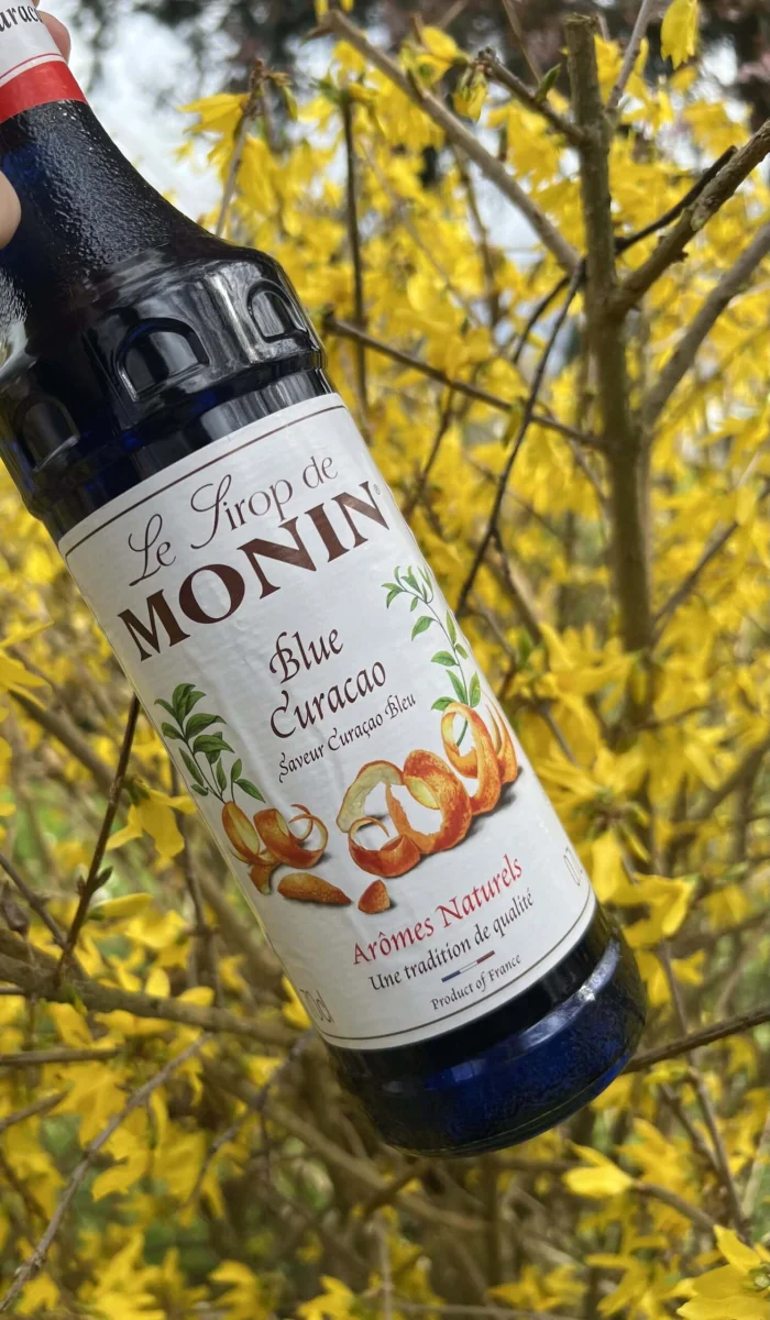 Sirop Monin Blue Curacao 70cL - Vins Rouges Harmonieux pour Chaque Occasion