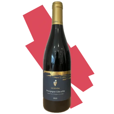 Bourgogne Côte d’Or 2023 – Les Astrelles - Vins Rouges Harmonieux pour Chaque Occasion - gevrey chambertin astrelle vin occasion