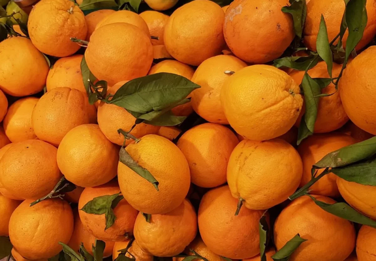 ORANGE FEUILLE Rouges Harmonieux Occasion