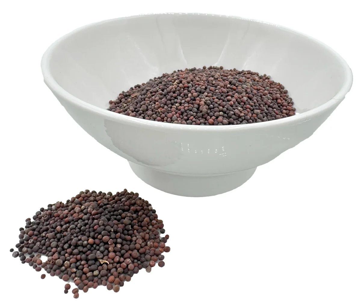 Graines de Moutarde - Saldi Straordinari – Offerte Speciali Disponibili Adesso Tout sur les graines - Diabete.fr