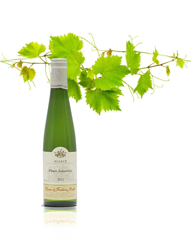 Pinot Auxerrois cl Vins Rouges Harmonieux Occasion