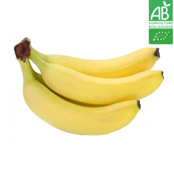 Banane Bio des Antilles Françaises (1kg) - Vins Rouges Harmonieux pour Chaque Occasion