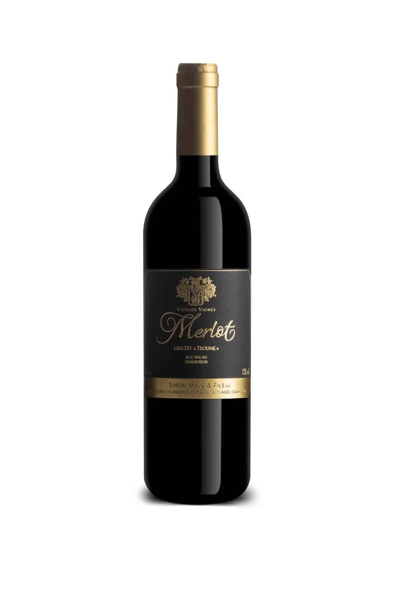 Merlot V.V. 2023 - Vins Rouges Harmonieux pour Chaque Occasion