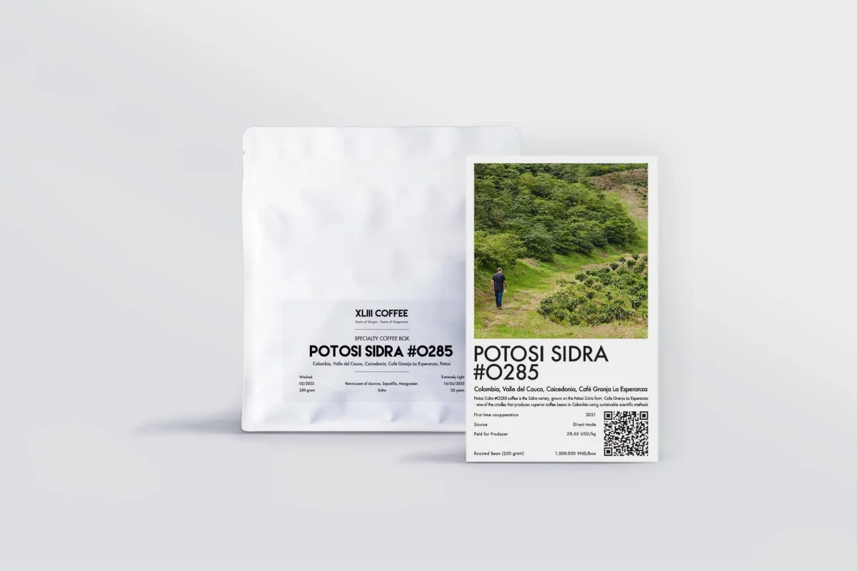 Potosi Sidra #0285 - Saldi Straordinari – Offerte Speciali Disponibili Adesso Logo Sidra