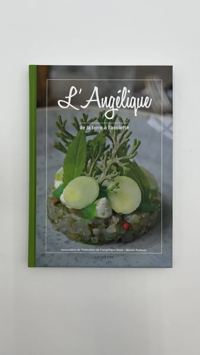 L’Angélique - Vins Rouges Harmonieux pour Chaque Occasion - Curius