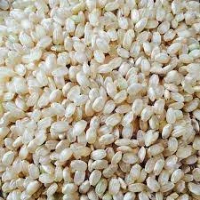 Riz complet BIO - Saldi Straordinari – Offerte Speciali Disponibili Adesso