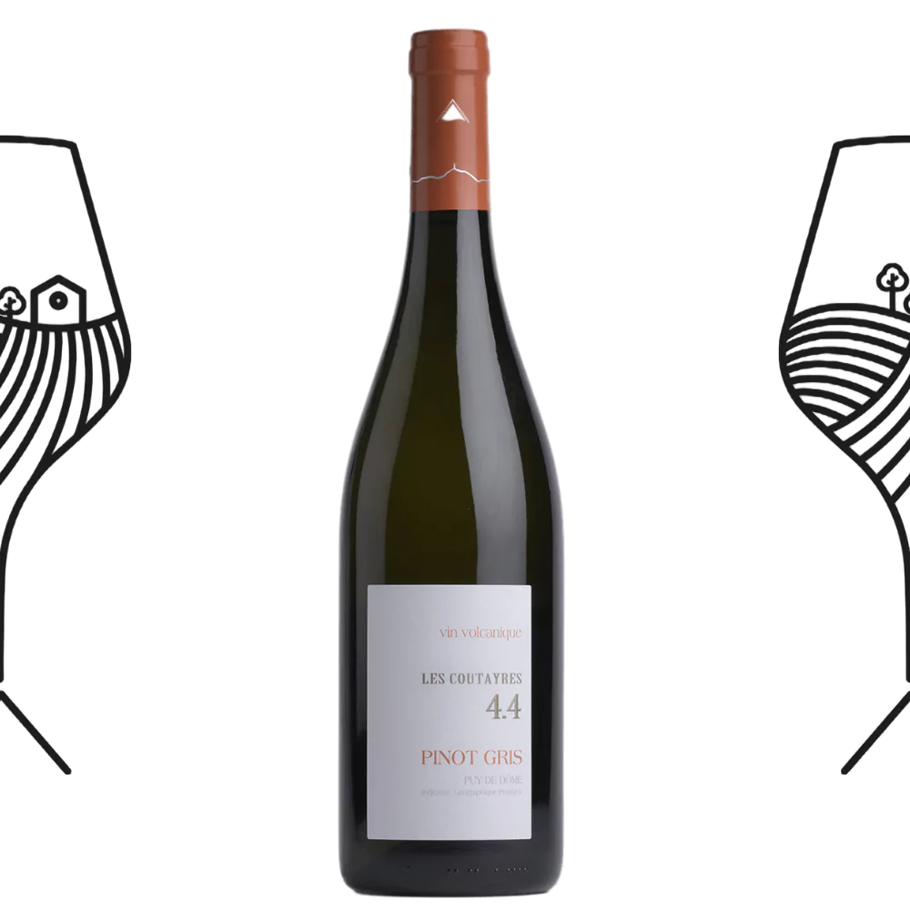 Pinot Gris Coutayres Vins Rouges Harmonieux Occasion