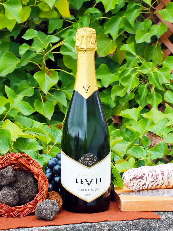 Trento DOC Brut Millesimato Blanc Blanc ​Boulangerie Pâtisserie Pain Levain Viennoiseries