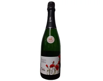 BRUT cuvee ZÉRO 2016 - Vins Rouges Harmonieux pour Chaque Occasion