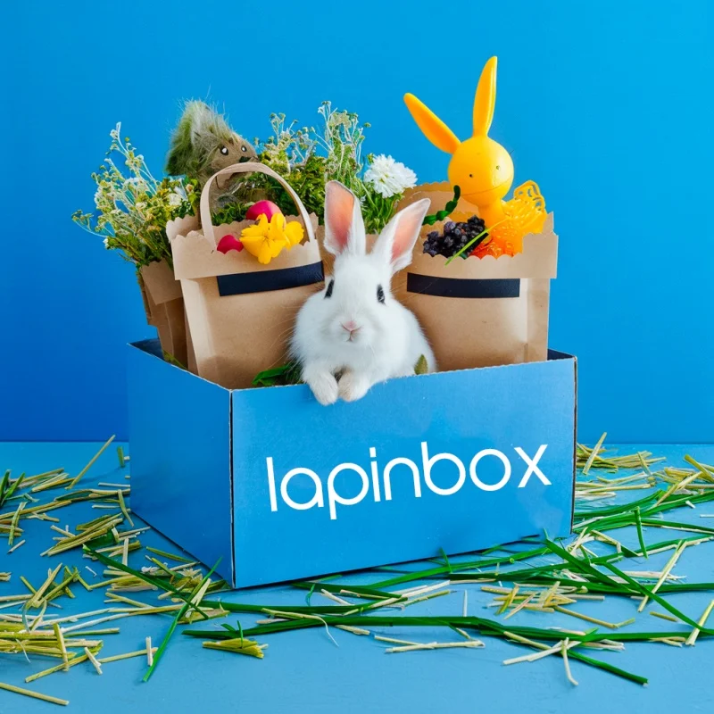 LapinBox - Vins Rouges Harmonieux pour Chaque Occasion Accords mets et vins pour chaque occasion - Millesima.fr