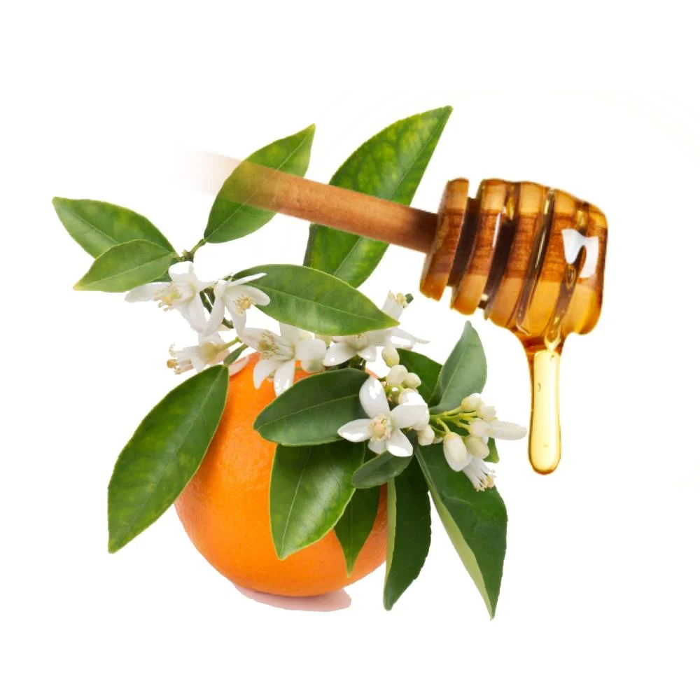 Miel de Fleurs d’Orangers 100% pur Premium en vrac – le seau de 22kgs - Édition Limitée – L’Art de la Table Française en Promotion !
