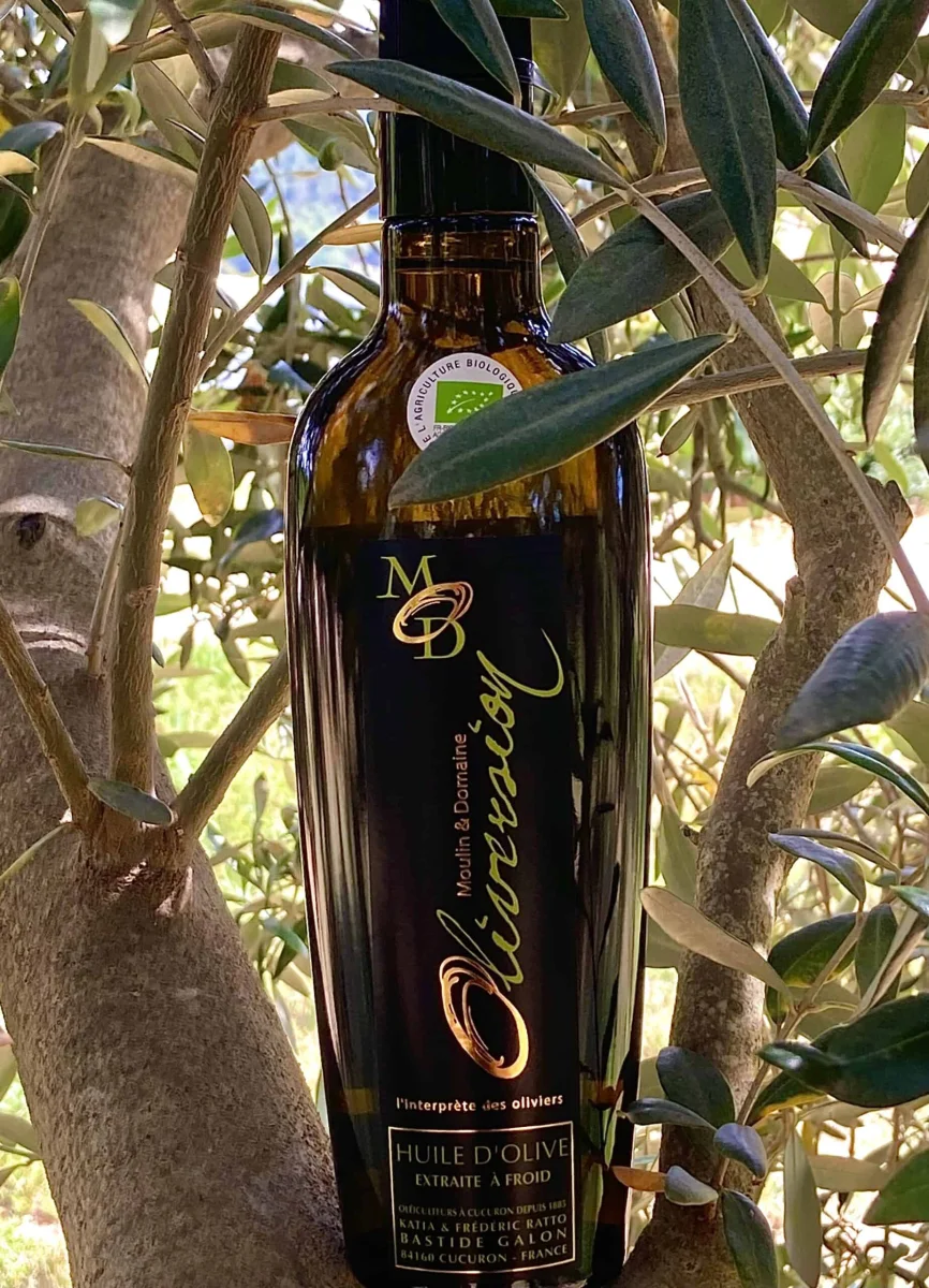 Huile d’olive fruité vert BIO – Cuvée 2025 très intense – 50 cl - Vins Rouges Harmonieux pour Chaque Occasion