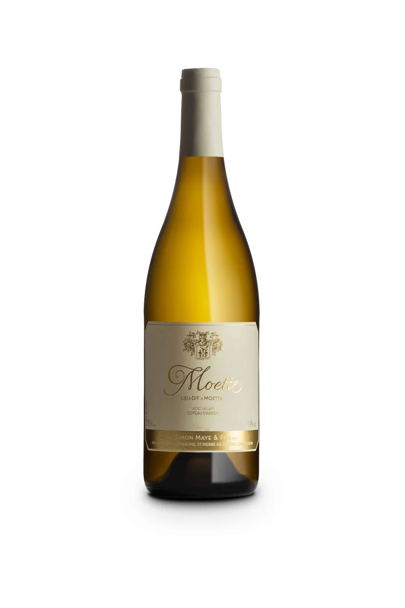 Moette 2024 - Vins Rouges Harmonieux pour Chaque Occasion