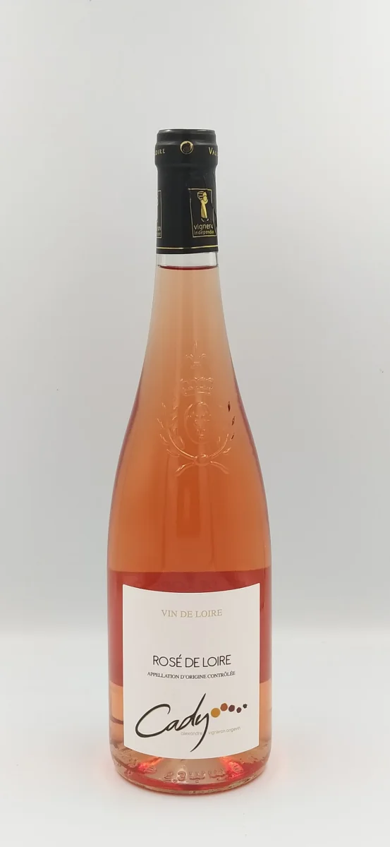 Loire Cady Vins Rouges Harmonieux Occasion