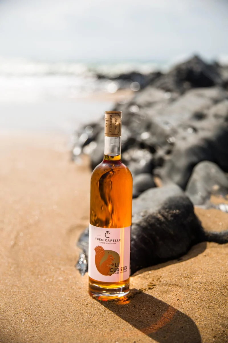 Le Curieux 2021 (Vin non effervescent) - Vins Rouges Harmonieux pour Chaque Occasion