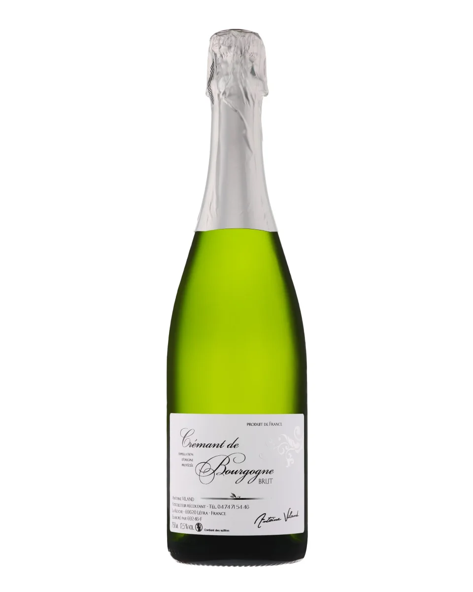 Crémant de Bourgogne - Vins Rouges Harmonieux pour Chaque Occasion