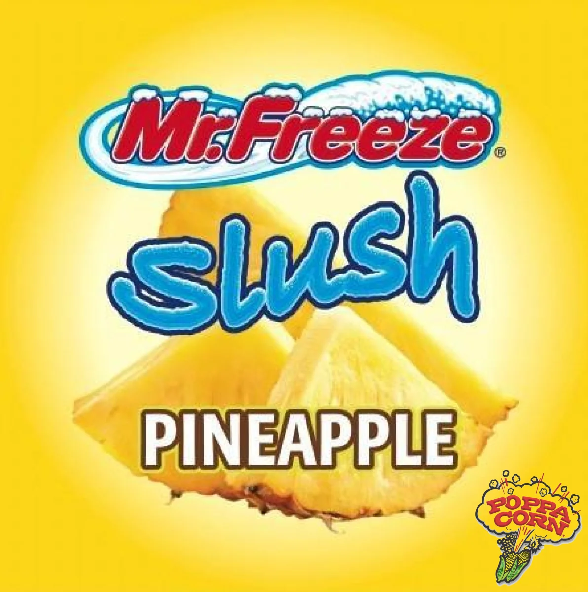 SLU008 - Ananas - Pochettes Mr. Freeze Slush - Donne 96 litres! - Saldi Straordinari – Offerte Speciali Disponibili Adesso Buy KENT Automatic Water Softener 8L Online at Best Prices in India