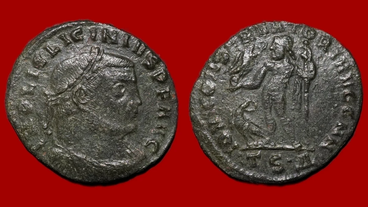 Licinius I – Follis - Vins Rouges Harmonieux pour Chaque Occasion