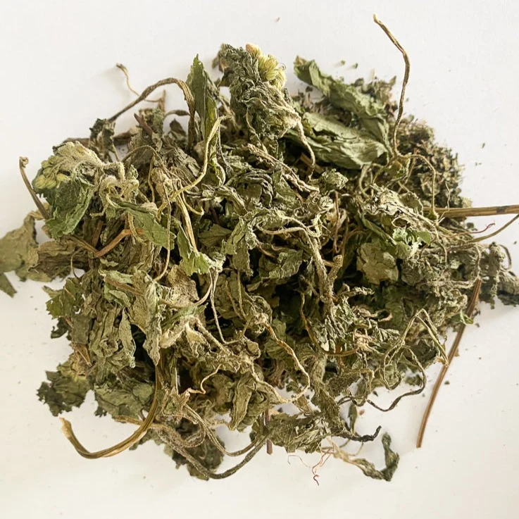 Roi des herbes (séchées) - Saldi Straordinari – Offerte Speciali Disponibili Adesso