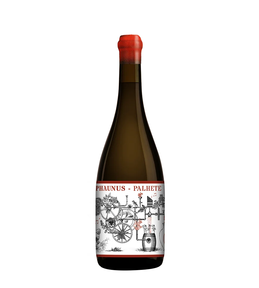 Vin Rouge Amphora Palhete Regional Minho Vins Rouges Harmonieux Occasion