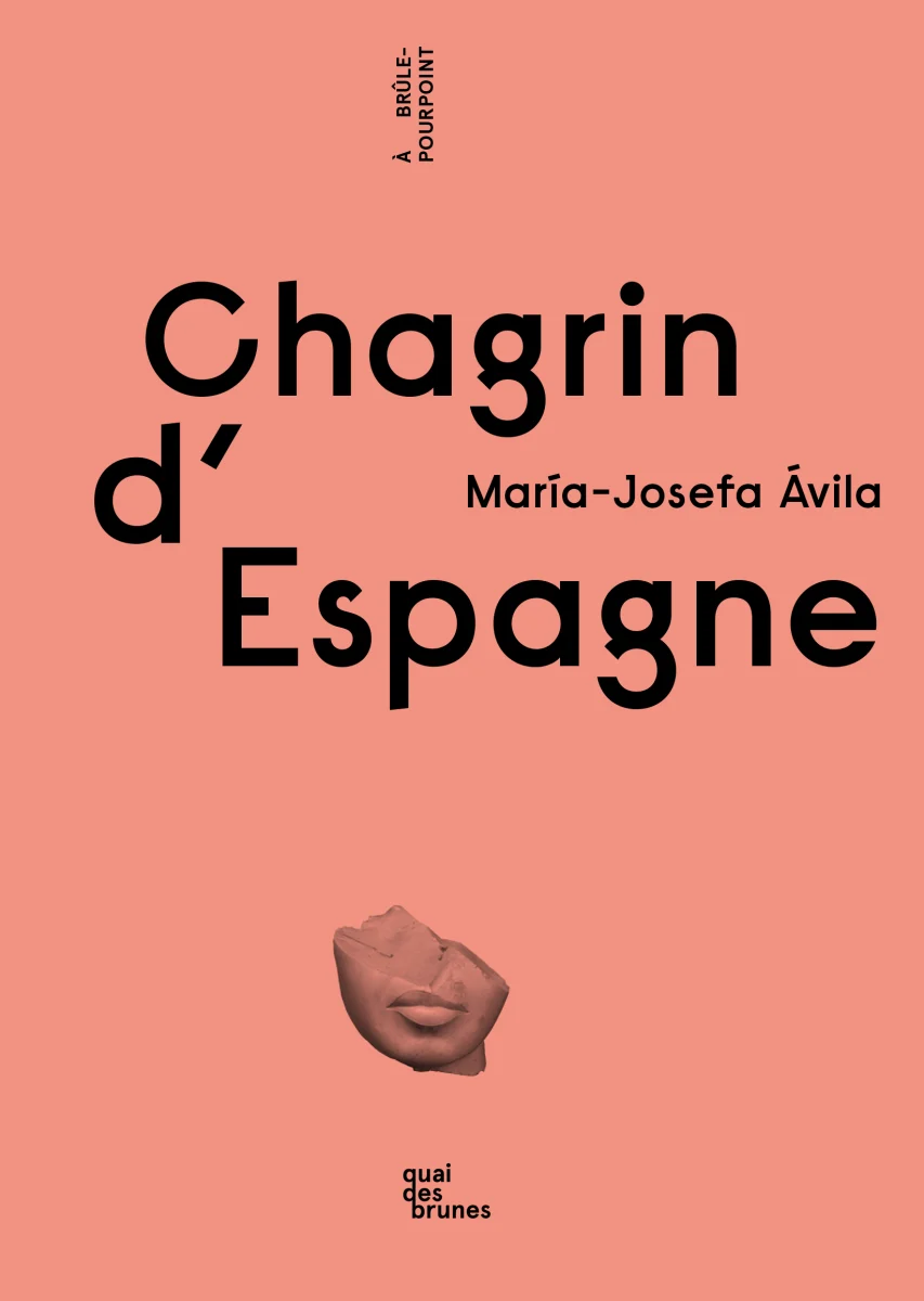 Chagrin d’Espagne - Vins Rouges Harmonieux pour Chaque Occasion Vin Rosé D'Espagne Grenache - Bag-in-Box® 5L - ADRIEN CHAMPAUD au meilleur  prix | E.Leclerc