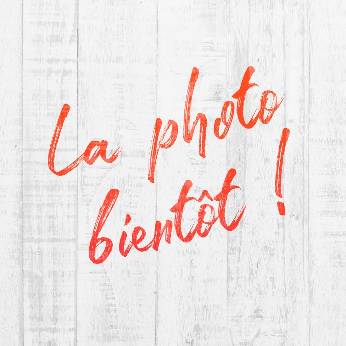 ÉMINCÉ DE POULET AU MIEL, LINGUINES AUX LÉGUMES - Édition Limitée – L’Art de la Table Française en Promotion !