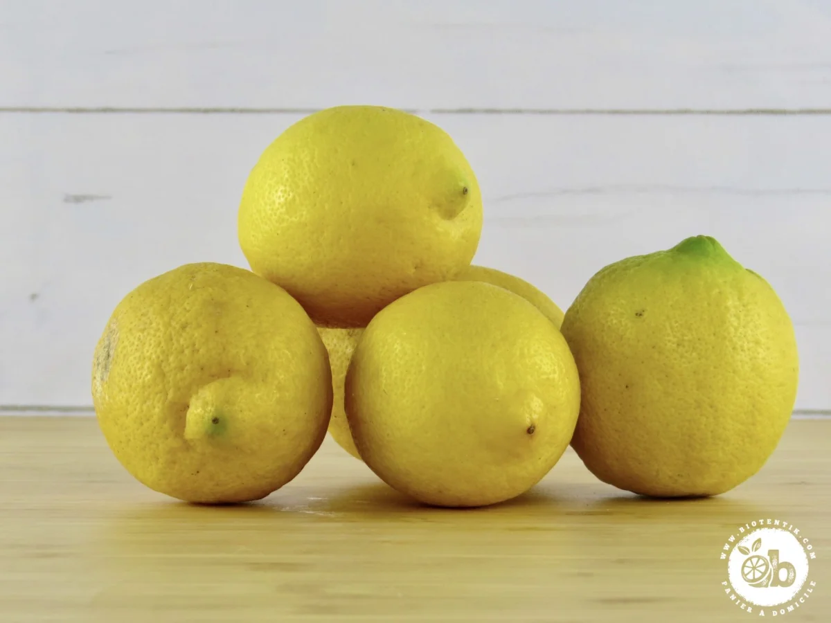 Citron jaune bio – Espagne - Offre limitée dans le temps ⏳ Ne tardez pas à commander ! - Algérie