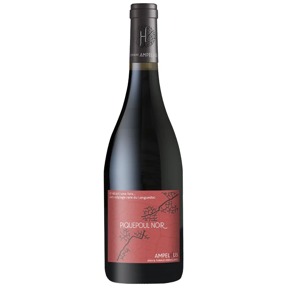 Piquepoul noir 2023 - Vins Rouges Harmonieux pour Chaque Occasion