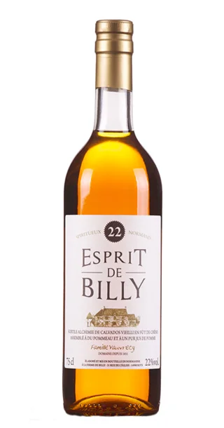Esprit de Billy 70 cl – 22% vol - Vins Rouges Harmonieux pour Chaque Occasion Vin effervescent Crémant-de-loire La Guilloterie - Accordance - Avis,  conseil, vieillissement et prix.