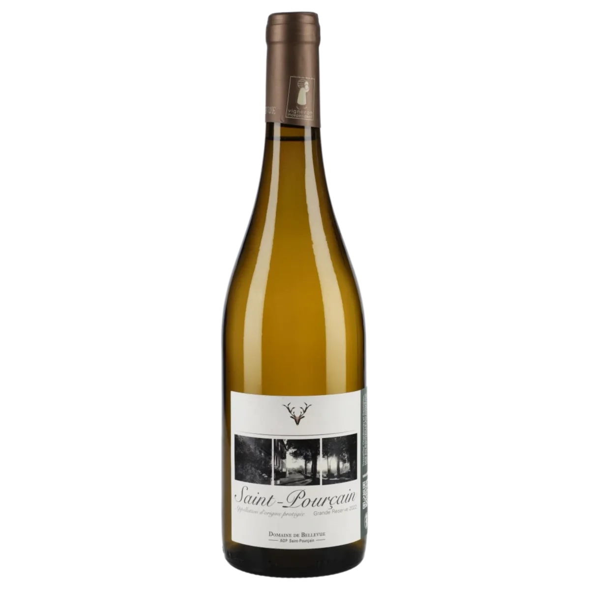 Saint-Pourçain Domaine Bellevue Vins Rouges Harmonieux Occasion