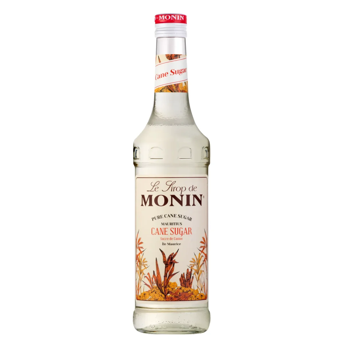 Monin Siroop Rietsuiker (70 cl) - Vins Rouges Harmonieux pour Chaque Occasion - Vins bio