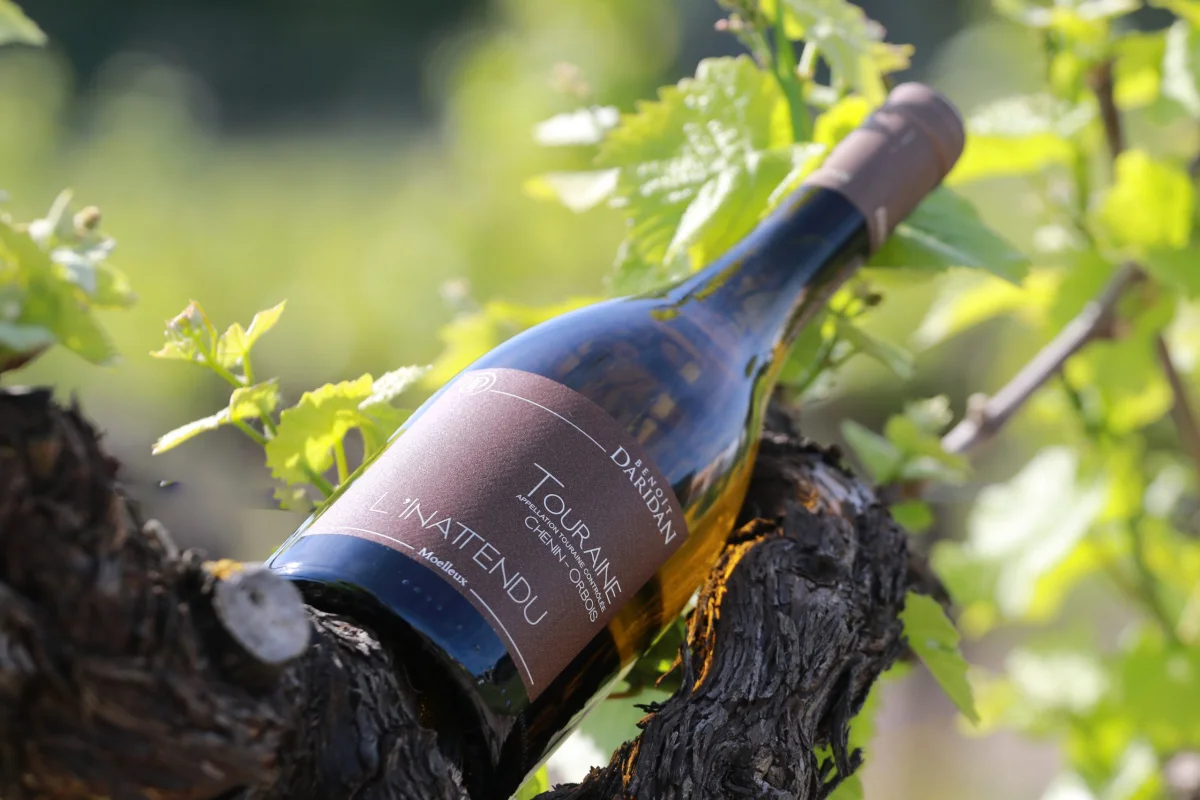 L’INATTENDU - Vins Rouges Harmonieux pour Chaque Occasion