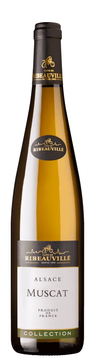 Muscat - Vins Rouges Harmonieux pour Chaque Occasion