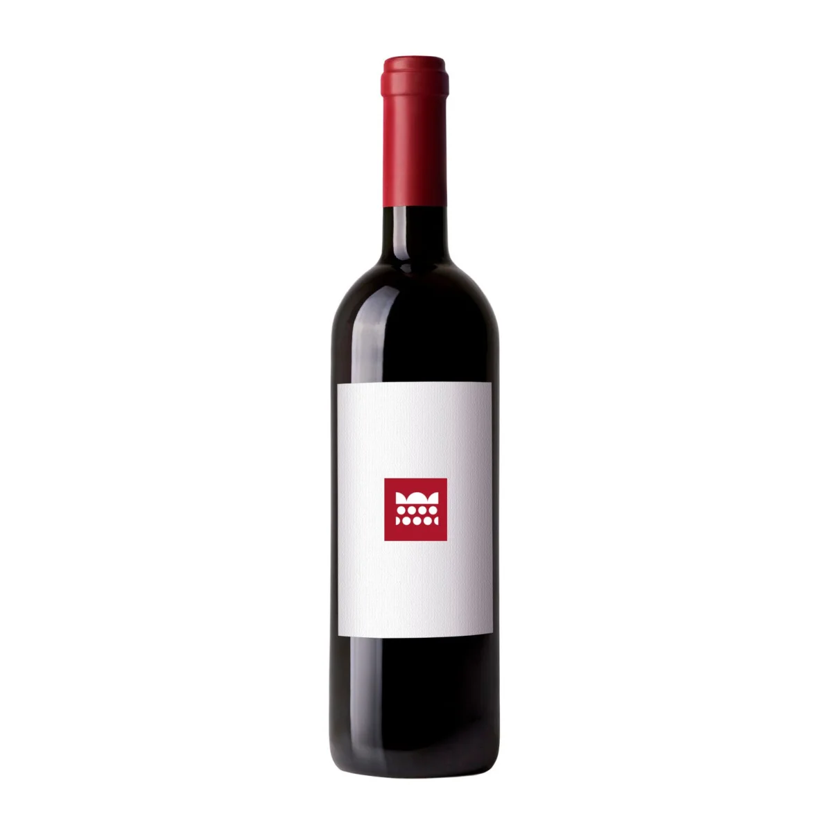 2021 Domaine du Bel Air, Bourgueil, Grand-Mont 1x75cl 1x75cl - Vins Rouges Harmonieux pour Chaque Occasion