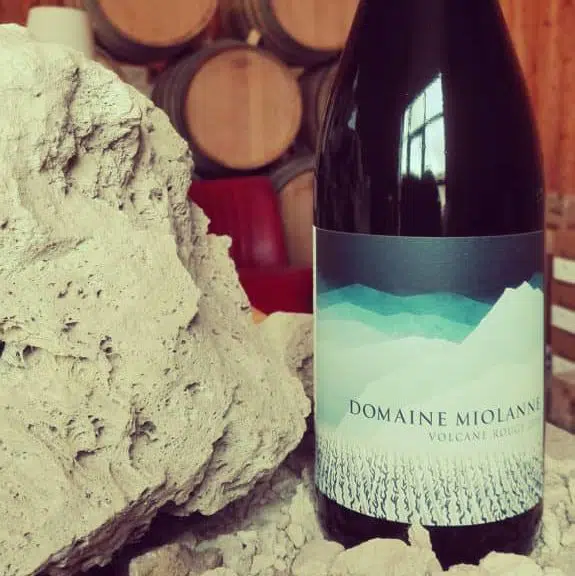 Chardonnay – Domaine Miolanne - Vins Rouges Harmonieux pour Chaque Occasion