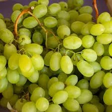 RAISIN VICTORIA - Vins Rouges blancs Harmonieux pour Chaque Occasion