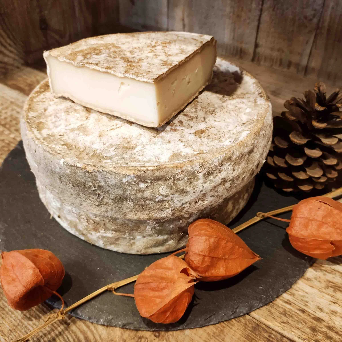 TOMME DE CHÈVRE - Vins Rouges Harmonieux pour Chaque Occasion - fromages tomme vin occasion